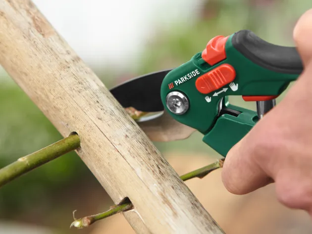 Parkside Pruner
