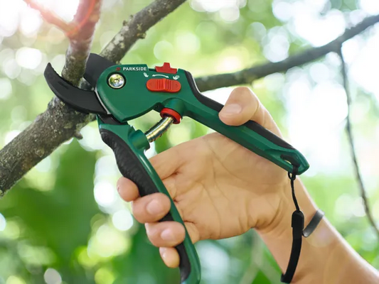 Parkside Pruner