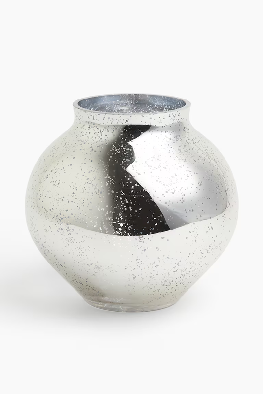 Silver Glass Vase